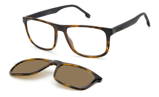 Carrera 8053/CS 086 Marrone