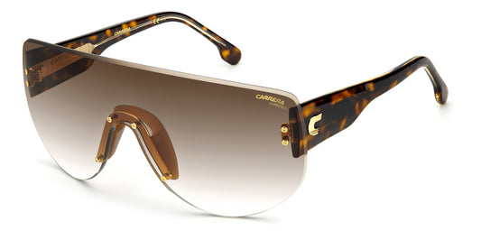 Carrera FLAGLAB 12 086 Marrone