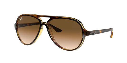 Ray-Ban 0RB4125 710/51 Marrone