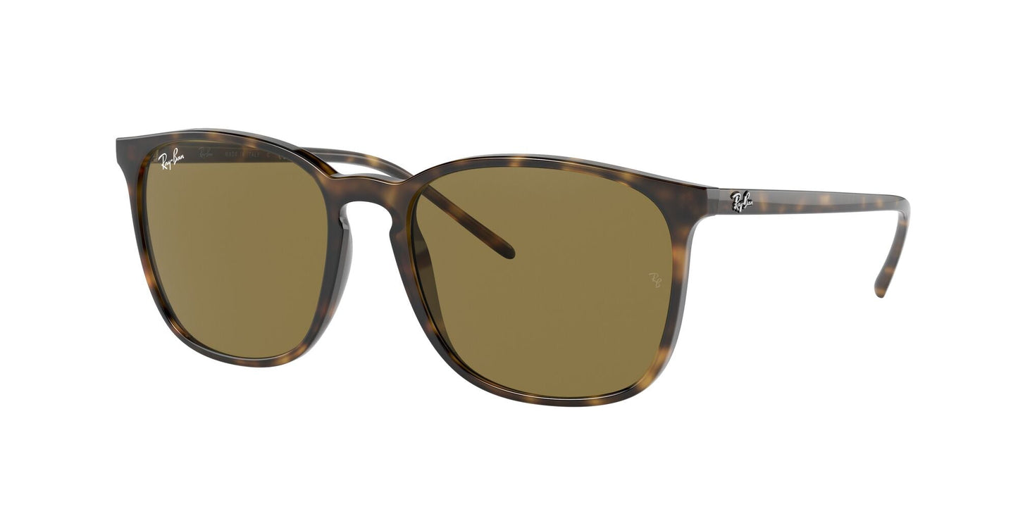 Ray-Ban 0RB4387 710/73 Marrone