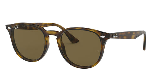 Ray-Ban 0RB4259 710/73 Marrone