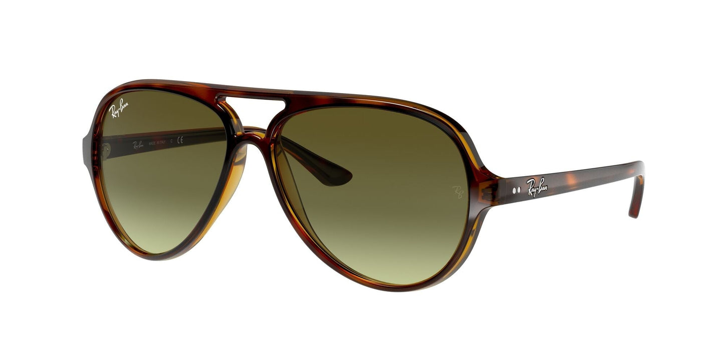 Ray-Ban 0RB4125 710/A6 Marrone