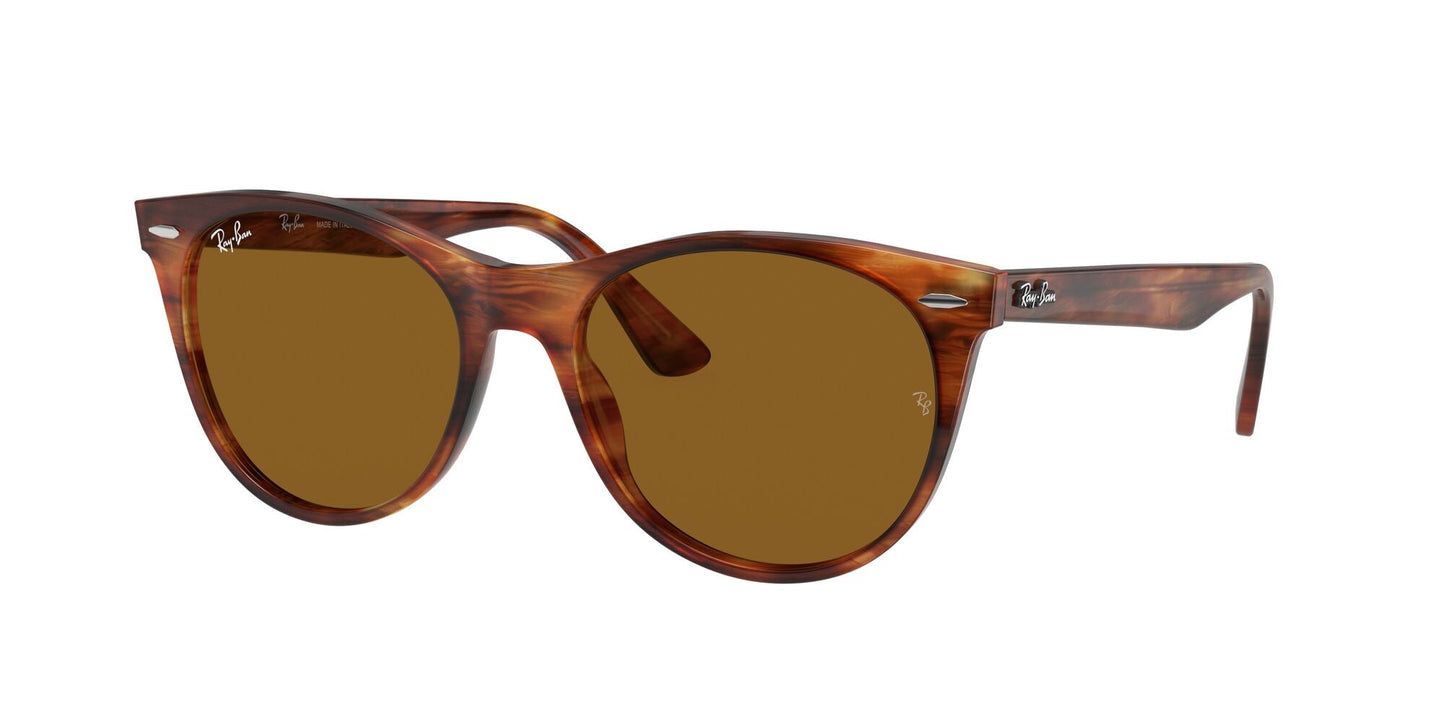 Ray-Ban 0RB2185 954/33 Marrone