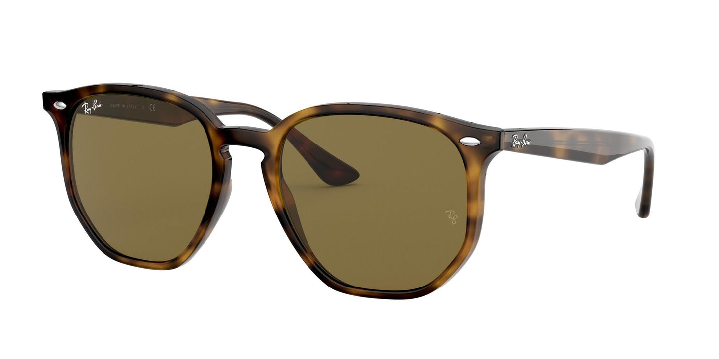 Ray-Ban 0RB4306 710/73 Marrone