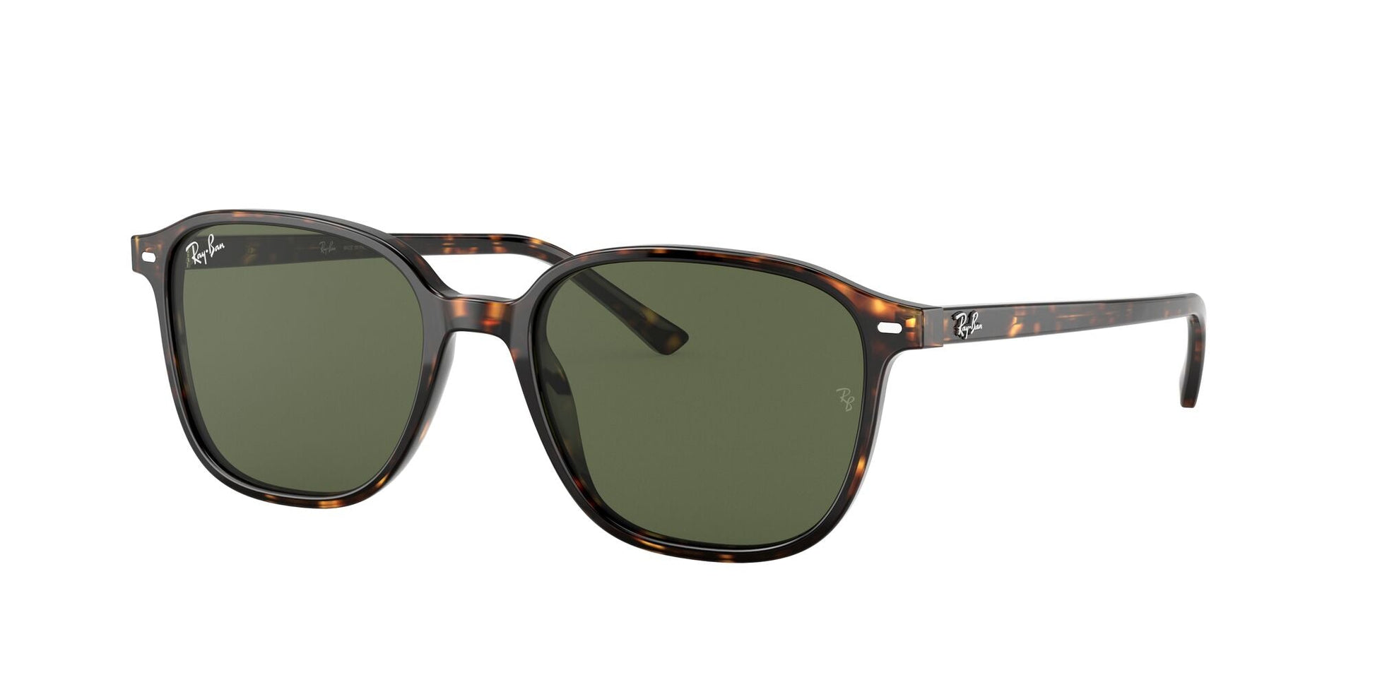 Ray-Ban 0RB2193 902/31 Marrone