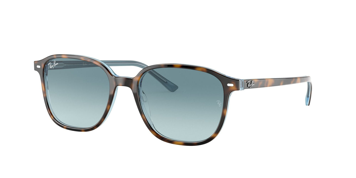 Ray-Ban 0RB2193 13163M Marrone