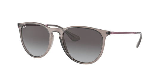 Ray-Ban 0RB4171 65138G Grigio