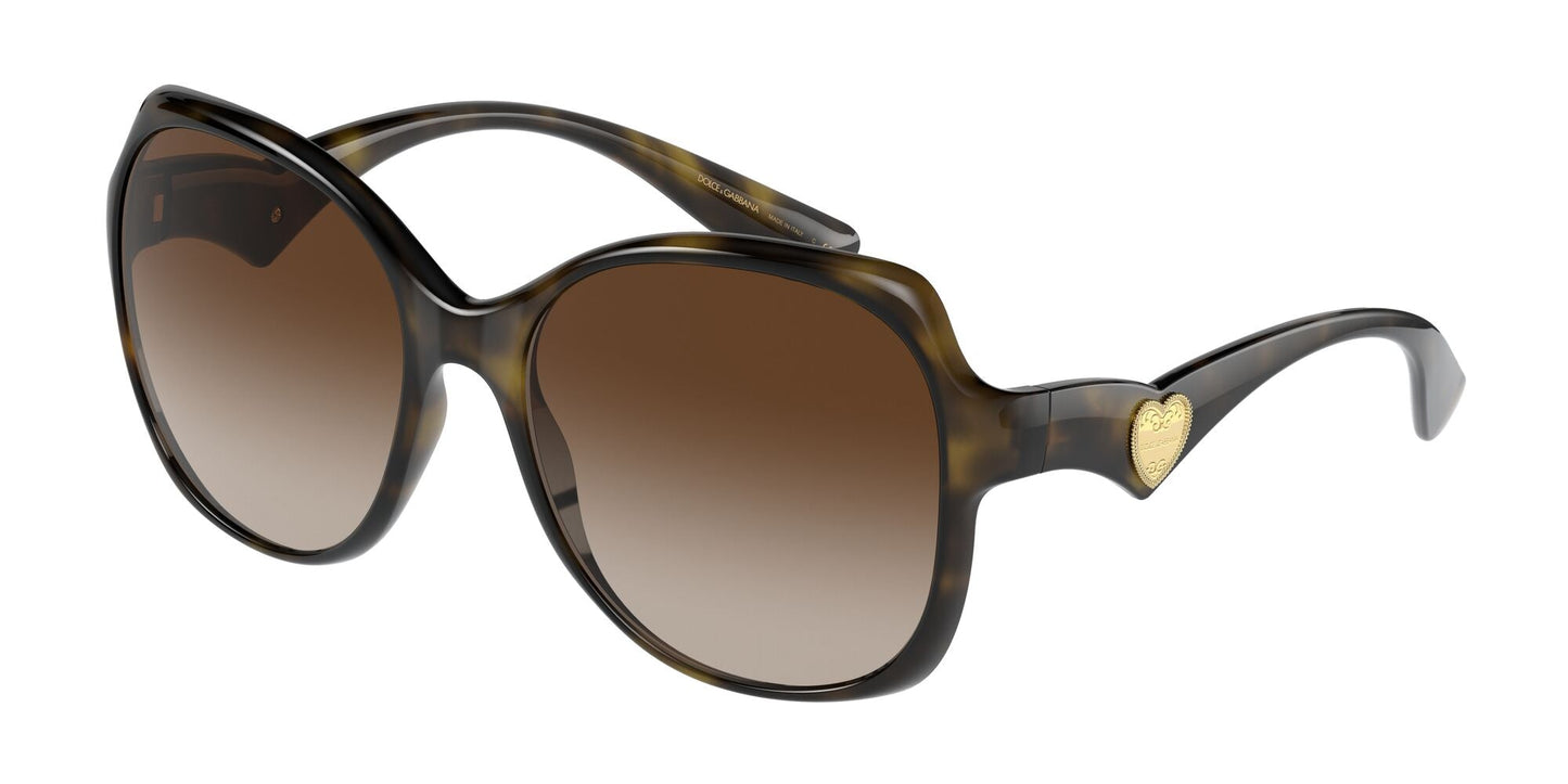 Dolce & Gabbana 0DG6154 502/13 Marrone