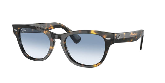 Ray-Ban 0RB2201 13323F Marrone Ray-Ban