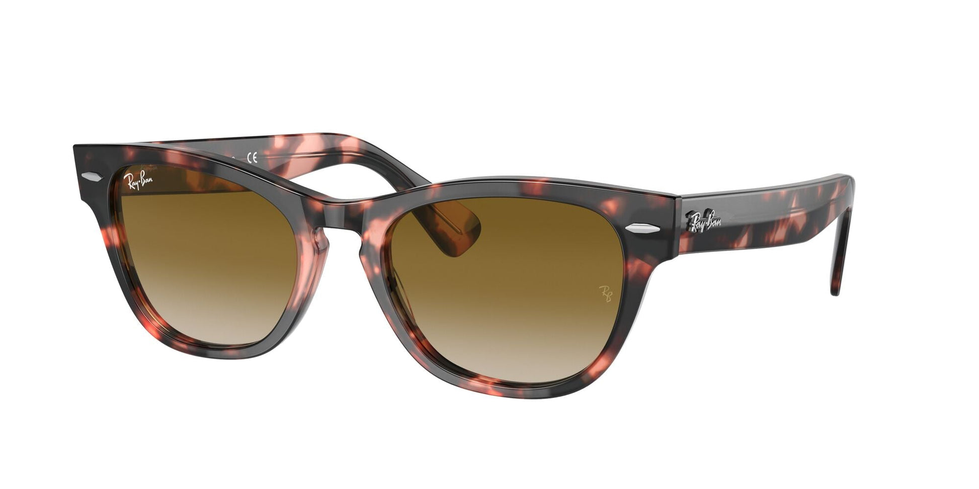 Ray-Ban 0RB2201 133451 Marrone