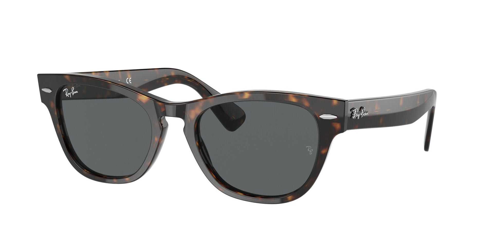 Ray-Ban 0RB2201 902/B1 Marrone