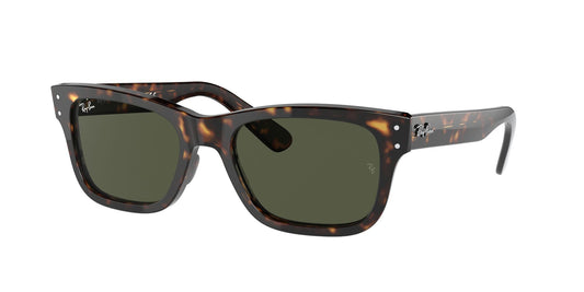 Ray-Ban 0RB2283 902/31 Marrone